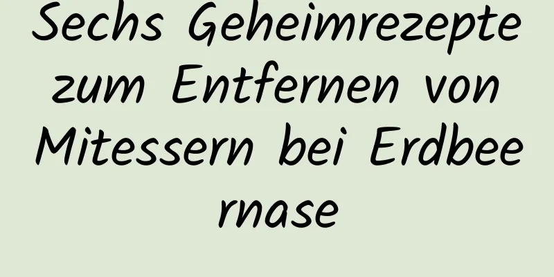 Sechs Geheimrezepte zum Entfernen von Mitessern bei Erdbeernase