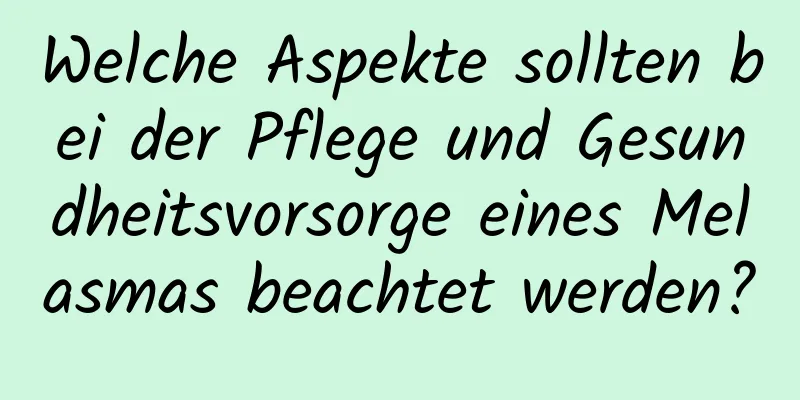 Welche Aspekte sollten bei der Pflege und Gesundheitsvorsorge eines Melasmas beachtet werden?