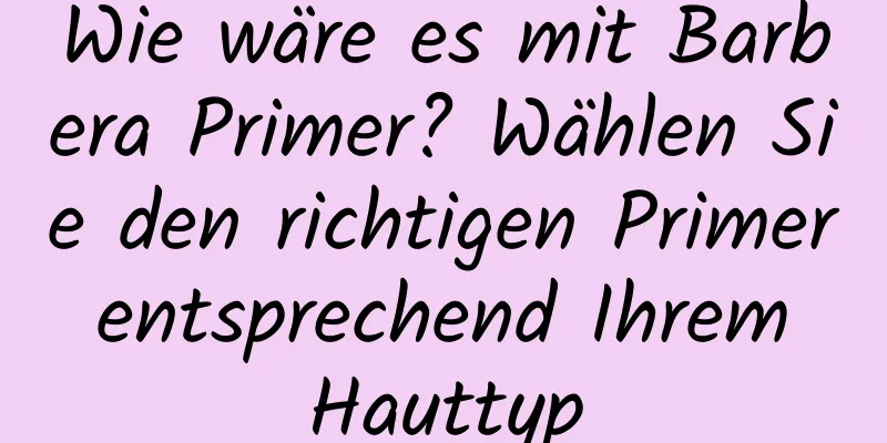Wie wäre es mit Barbera Primer? Wählen Sie den richtigen Primer entsprechend Ihrem Hauttyp