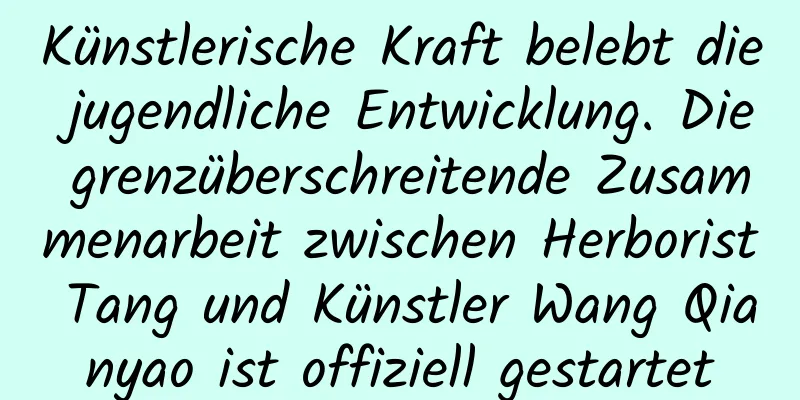 Künstlerische Kraft belebt die jugendliche Entwicklung. Die grenzüberschreitende Zusammenarbeit zwischen Herborist Tang und Künstler Wang Qianyao ist offiziell gestartet