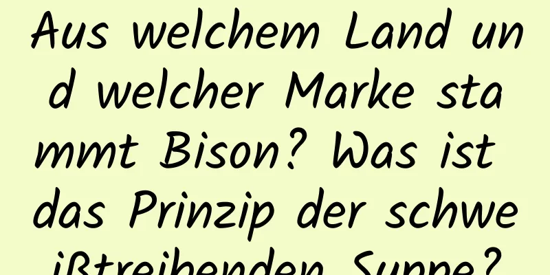 Aus welchem ​​Land und welcher Marke stammt Bison? Was ist das Prinzip der schweißtreibenden Suppe?