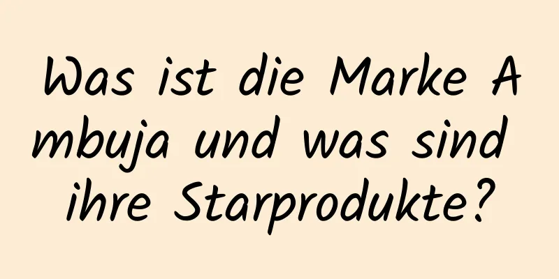 Was ist die Marke Ambuja und was sind ihre Starprodukte?
