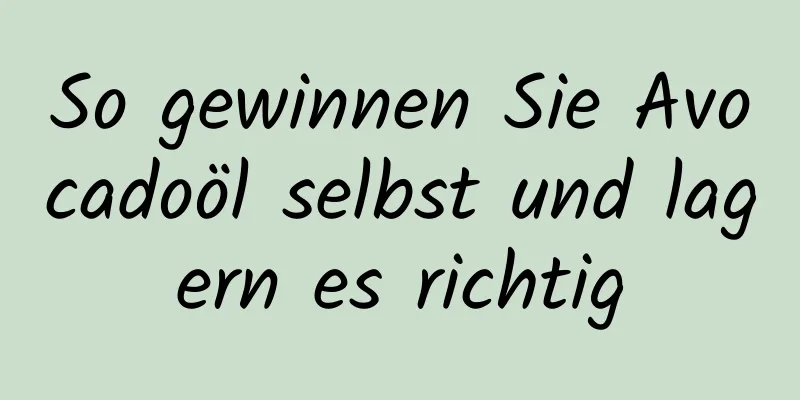 So gewinnen Sie Avocadoöl selbst und lagern es richtig