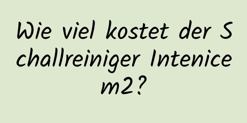 Wie viel kostet der Schallreiniger Intenicem2?