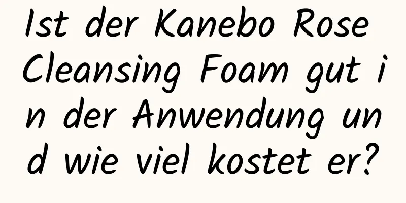 Ist der Kanebo Rose Cleansing Foam gut in der Anwendung und wie viel kostet er?
