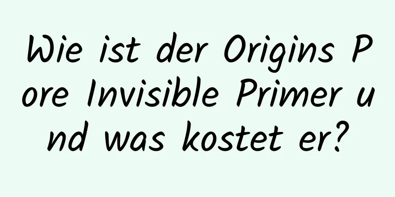 Wie ist der Origins Pore Invisible Primer und was kostet er?