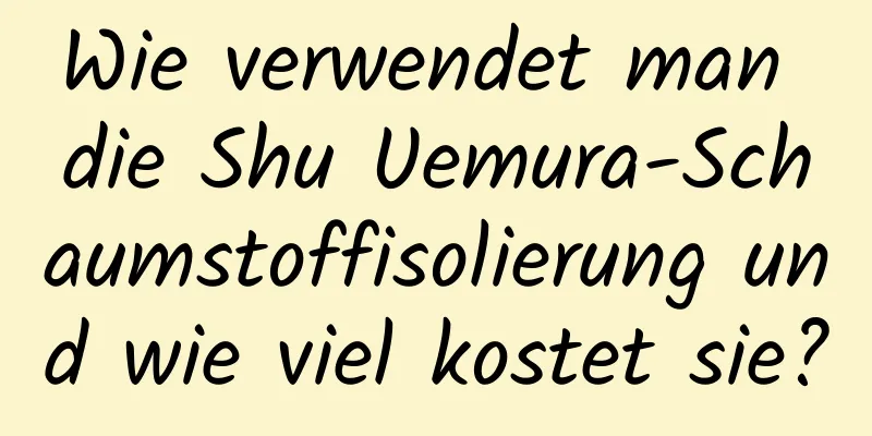 Wie verwendet man die Shu Uemura-Schaumstoffisolierung und wie viel kostet sie?