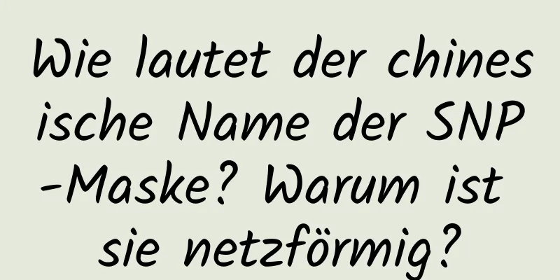 Wie lautet der chinesische Name der SNP-Maske? Warum ist sie netzförmig?