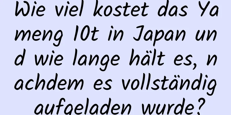 Wie viel kostet das Yameng 10t in Japan und wie lange hält es, nachdem es vollständig aufgeladen wurde?