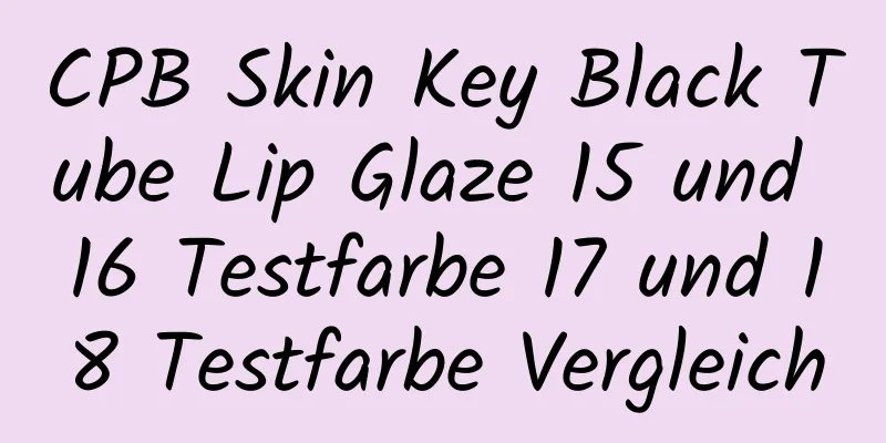 CPB Skin Key Black Tube Lip Glaze 15 und 16 Testfarbe 17 und 18 Testfarbe Vergleich