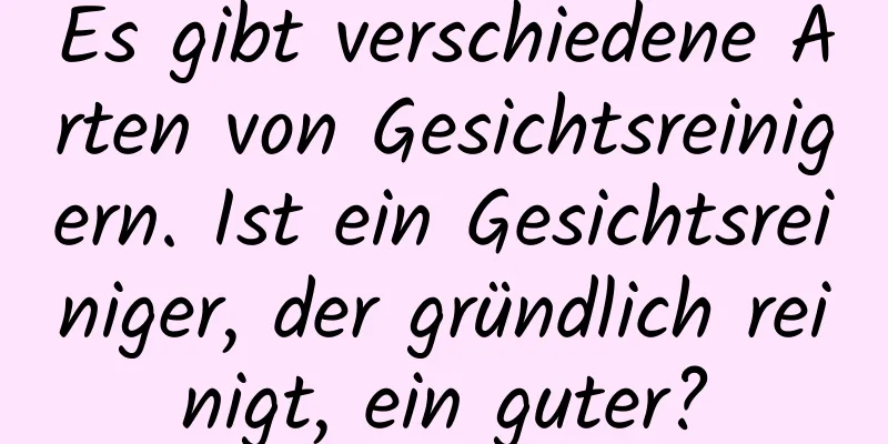 Es gibt verschiedene Arten von Gesichtsreinigern. Ist ein Gesichtsreiniger, der gründlich reinigt, ein guter?