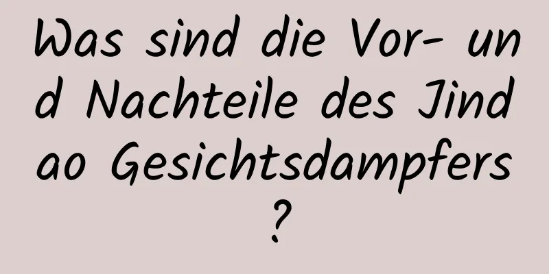 Was sind die Vor- und Nachteile des Jindao Gesichtsdampfers?