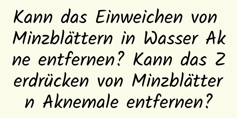 Kann das Einweichen von Minzblättern in Wasser Akne entfernen? Kann das Zerdrücken von Minzblättern Aknemale entfernen?