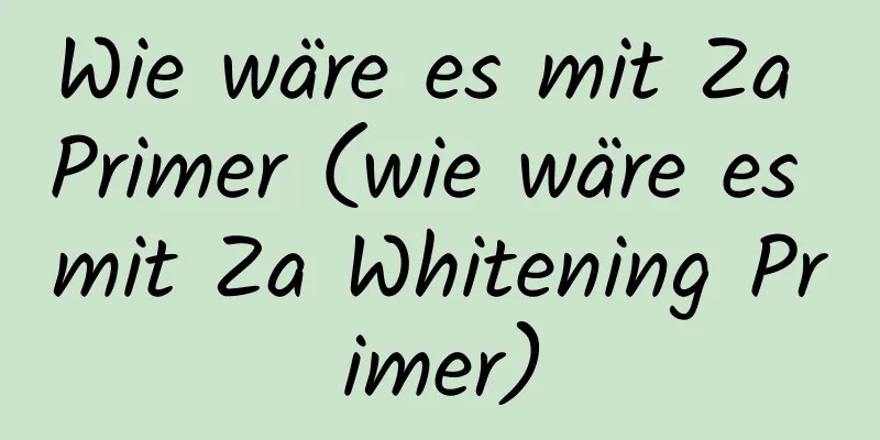 Wie wäre es mit Za Primer (wie wäre es mit Za Whitening Primer)