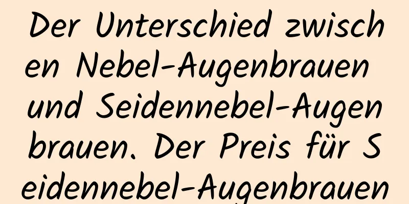 Der Unterschied zwischen Nebel-Augenbrauen und Seidennebel-Augenbrauen. Der Preis für Seidennebel-Augenbrauen