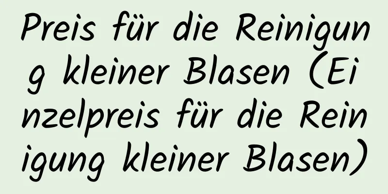 Preis für die Reinigung kleiner Blasen (Einzelpreis für die Reinigung kleiner Blasen)