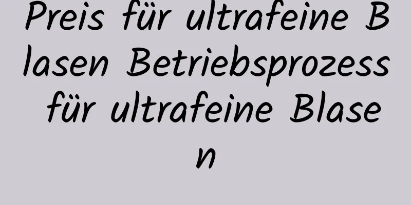 Preis für ultrafeine Blasen Betriebsprozess für ultrafeine Blasen