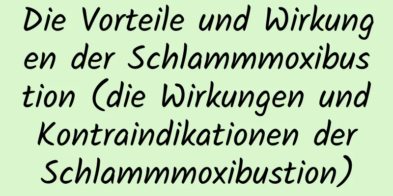 Die Vorteile und Wirkungen der Schlammmoxibustion (die Wirkungen und Kontraindikationen der Schlammmoxibustion)