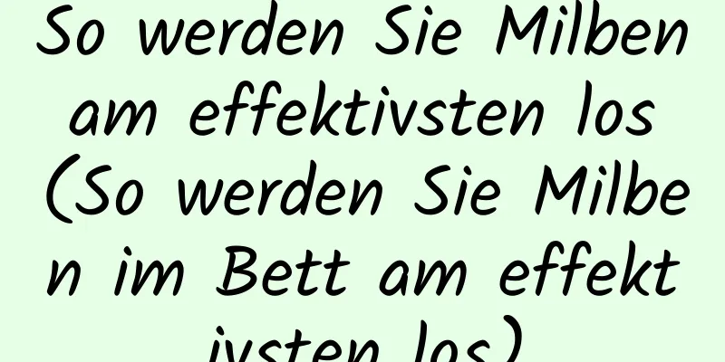 So werden Sie Milben am effektivsten los (So werden Sie Milben im Bett am effektivsten los)