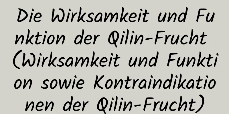 Die Wirksamkeit und Funktion der Qilin-Frucht (Wirksamkeit und Funktion sowie Kontraindikationen der Qilin-Frucht)