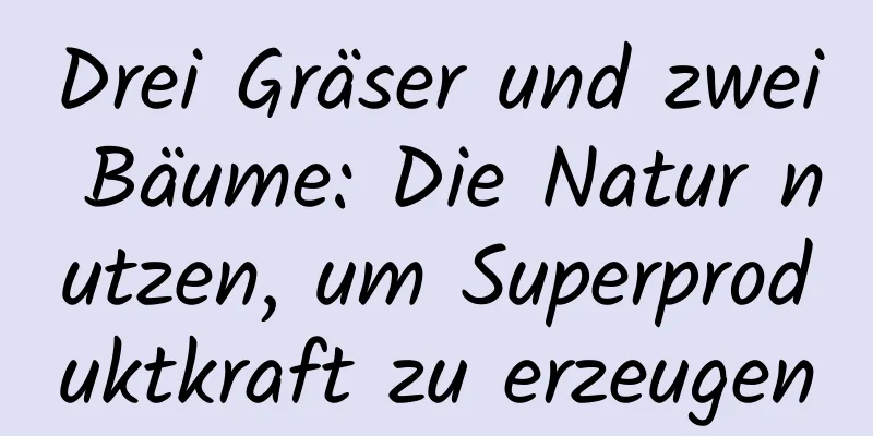 Drei Gräser und zwei Bäume: Die Natur nutzen, um Superproduktkraft zu erzeugen