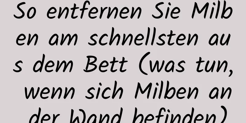 So entfernen Sie Milben am schnellsten aus dem Bett (was tun, wenn sich Milben an der Wand befinden)