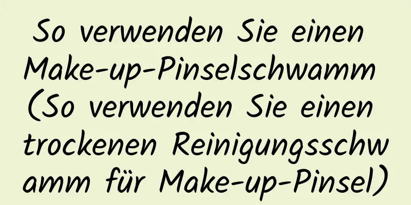 So verwenden Sie einen Make-up-Pinselschwamm (So verwenden Sie einen trockenen Reinigungsschwamm für Make-up-Pinsel)