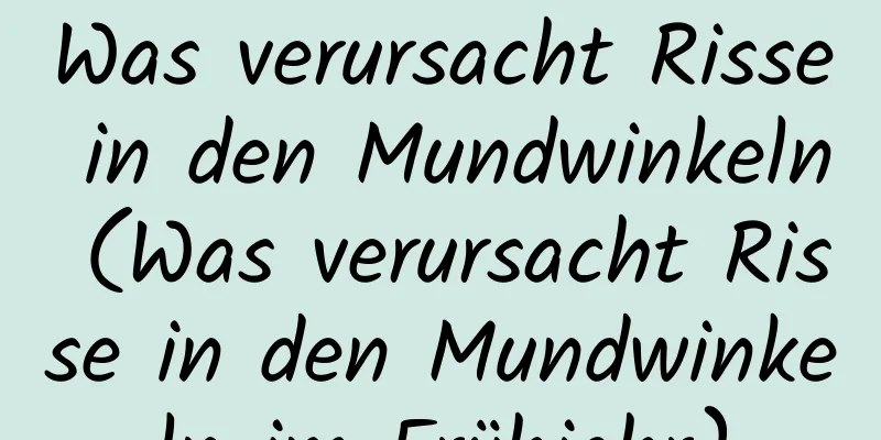 Was verursacht Risse in den Mundwinkeln (Was verursacht Risse in den Mundwinkeln im Frühjahr)