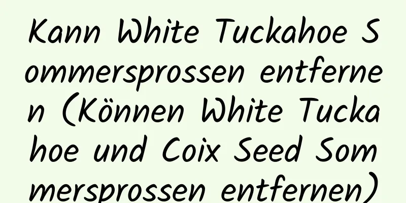 Kann White Tuckahoe Sommersprossen entfernen (Können White Tuckahoe und Coix Seed Sommersprossen entfernen)