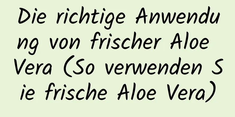 Die richtige Anwendung von frischer Aloe Vera (So verwenden Sie frische Aloe Vera)