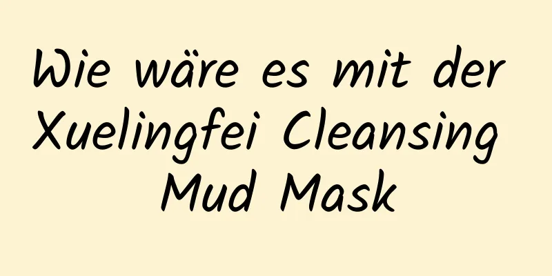 Wie wäre es mit der Xuelingfei Cleansing Mud Mask