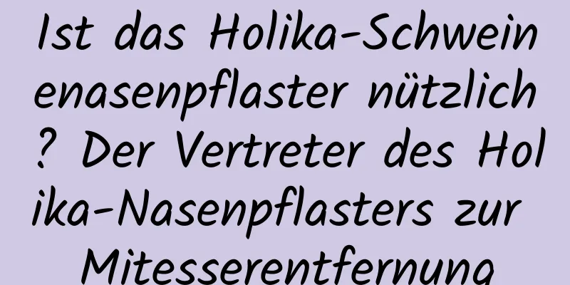 Ist das Holika-Schweinenasenpflaster nützlich? Der Vertreter des Holika-Nasenpflasters zur Mitesserentfernung