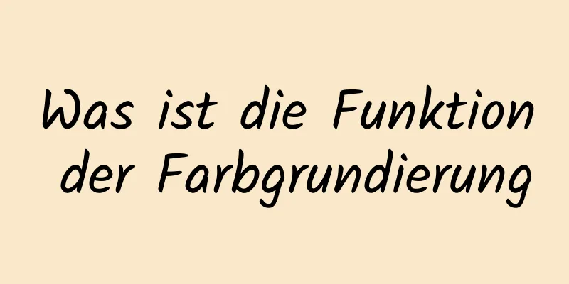 Was ist die Funktion der Farbgrundierung