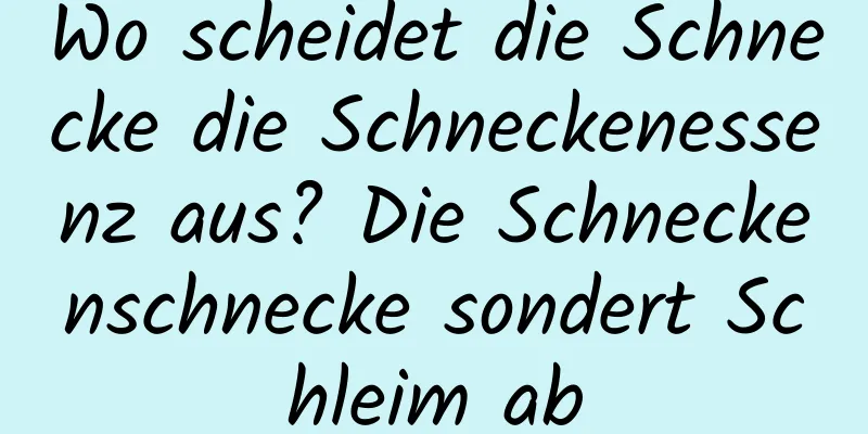 Wo scheidet die Schnecke die Schneckenessenz aus? Die Schneckenschnecke sondert Schleim ab