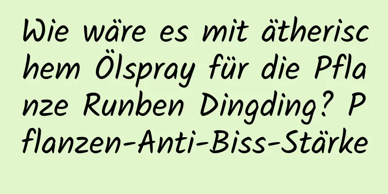 Wie wäre es mit ätherischem Ölspray für die Pflanze Runben Dingding? Pflanzen-Anti-Biss-Stärke