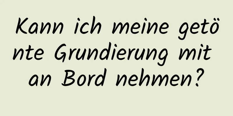 Kann ich meine getönte Grundierung mit an Bord nehmen?