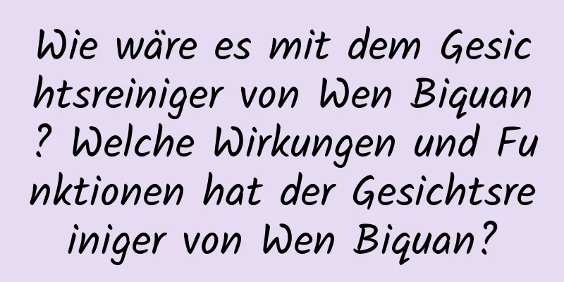 Wie wäre es mit dem Gesichtsreiniger von Wen Biquan? Welche Wirkungen und Funktionen hat der Gesichtsreiniger von Wen Biquan?