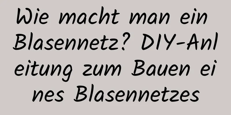 Wie macht man ein Blasennetz? DIY-Anleitung zum Bauen eines Blasennetzes