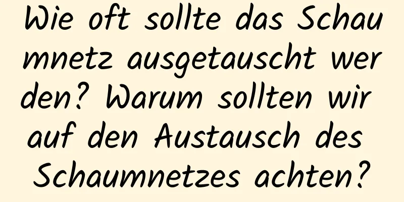 Wie oft sollte das Schaumnetz ausgetauscht werden? Warum sollten wir auf den Austausch des Schaumnetzes achten?