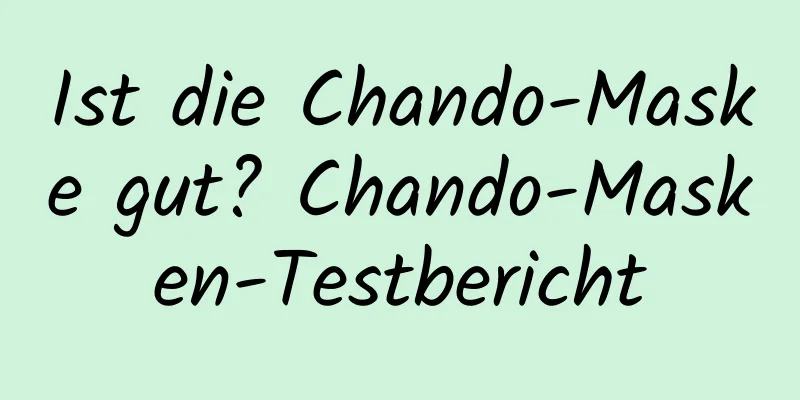 Ist die Chando-Maske gut? Chando-Masken-Testbericht