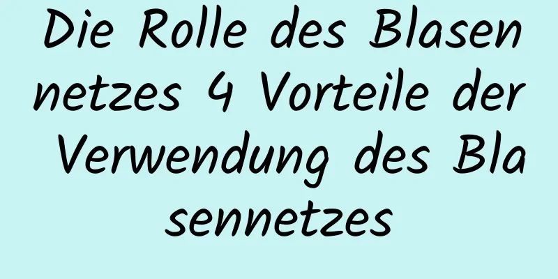 Die Rolle des Blasennetzes 4 Vorteile der Verwendung des Blasennetzes