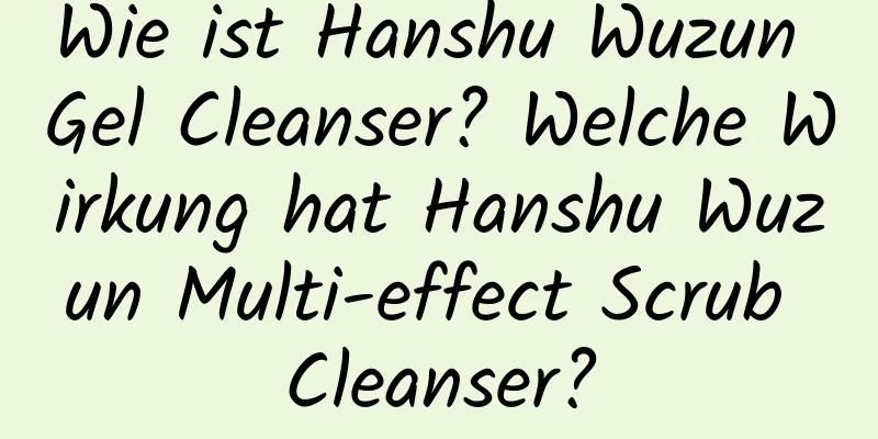 Wie ist Hanshu Wuzun Gel Cleanser? Welche Wirkung hat Hanshu Wuzun Multi-effect Scrub Cleanser?
