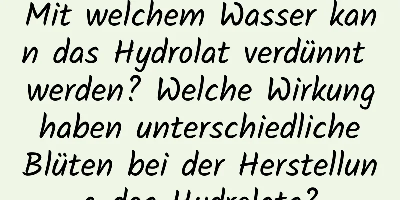 Mit welchem ​​Wasser kann das Hydrolat verdünnt werden? Welche Wirkung haben unterschiedliche Blüten bei der Herstellung des Hydrolats?