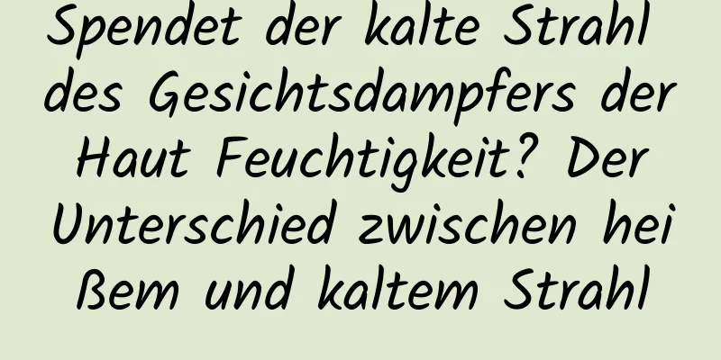 Spendet der kalte Strahl des Gesichtsdampfers der Haut Feuchtigkeit? Der Unterschied zwischen heißem und kaltem Strahl