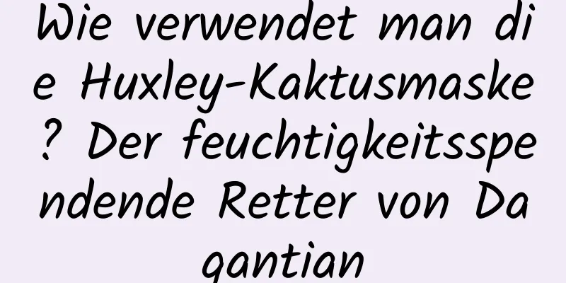 Wie verwendet man die Huxley-Kaktusmaske? Der feuchtigkeitsspendende Retter von Dagantian