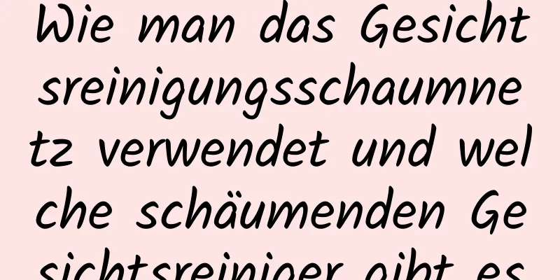 Wie man das Gesichtsreinigungsschaumnetz verwendet und welche schäumenden Gesichtsreiniger gibt es