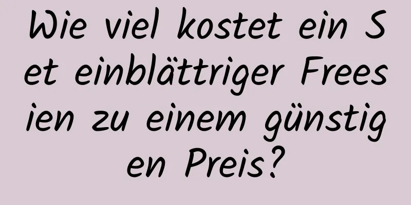 Wie viel kostet ein Set einblättriger Freesien zu einem günstigen Preis?