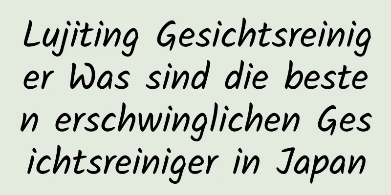 Lujiting Gesichtsreiniger Was sind die besten erschwinglichen Gesichtsreiniger in Japan