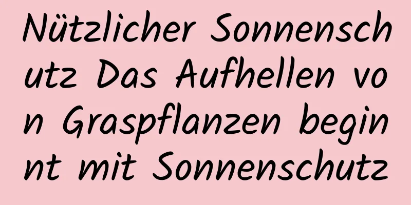 Nützlicher Sonnenschutz Das Aufhellen von Graspflanzen beginnt mit Sonnenschutz