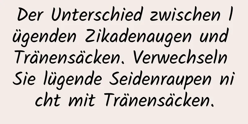 Der Unterschied zwischen lügenden Zikadenaugen und Tränensäcken. Verwechseln Sie lügende Seidenraupen nicht mit Tränensäcken.
